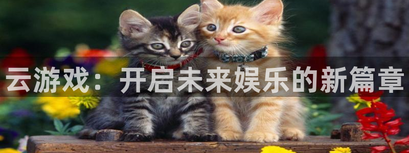 多彩娱乐是什么：云游戏：开启未来娱乐的新篇章
