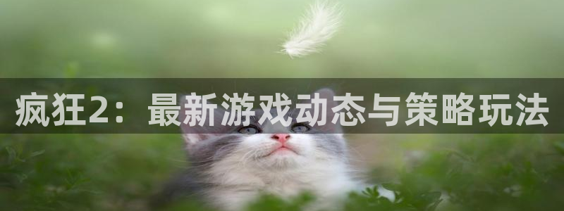 多彩娱乐娱乐：疯狂2：最新游戏动态与策略玩法