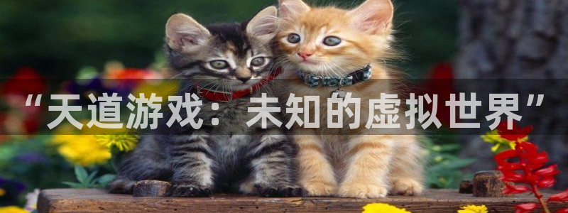 多彩娱乐注册网站：“天道游戏：未知的虚拟世界”