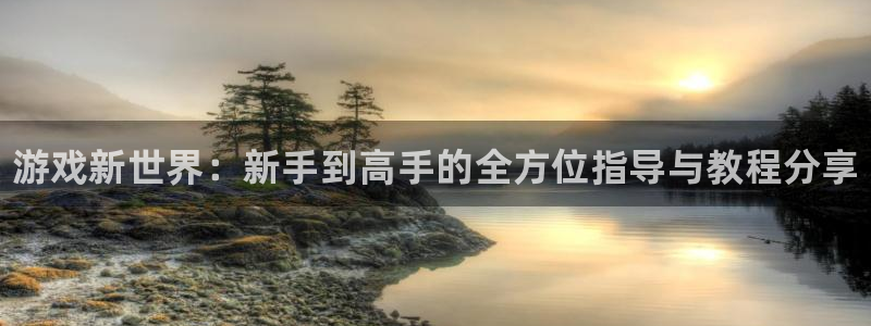 手机版多彩娱乐客户端下载：游戏新世界：新手到高手的全方位指导