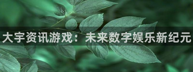 多彩娱乐的意思：大宇资讯游戏：未来数字娱乐新纪元