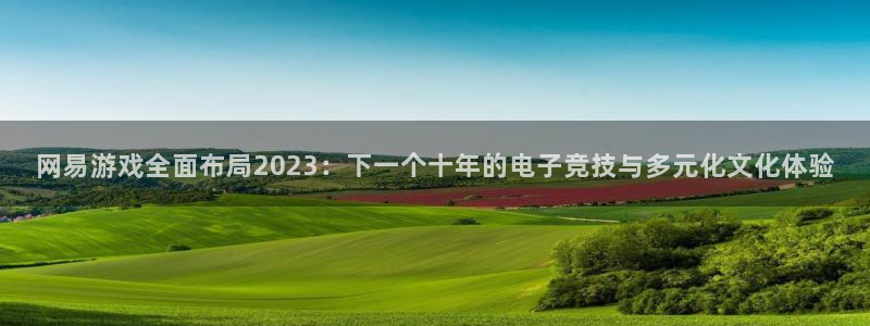 多彩娱乐注册：网易游戏全面布局2023：下一个十年的电子竞技