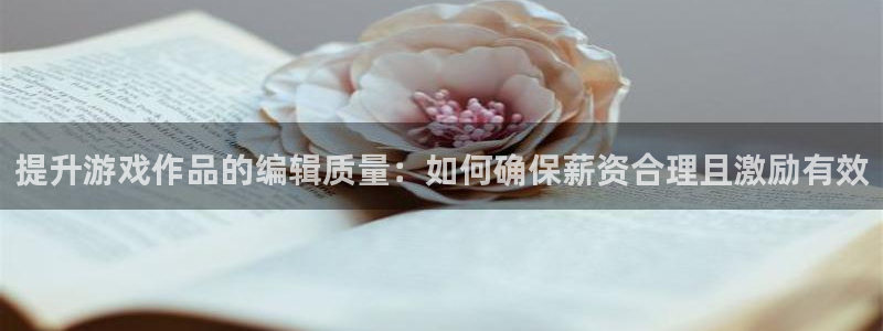 多彩联盟凤凰联盟官网：提升游戏作品的编辑质量：如何确保薪资合