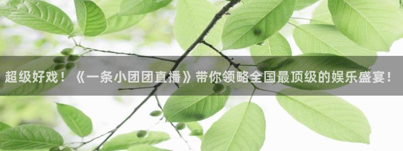 雨燕360体育无插件直播：超级好戏！《一条小团团直播》带你领略全国最顶级的娱乐盛宴！