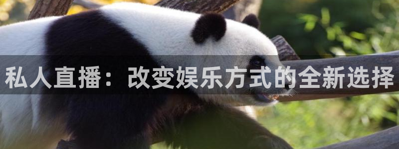360体育足球直播吧：私人直播：改变娱乐方式的全新选择