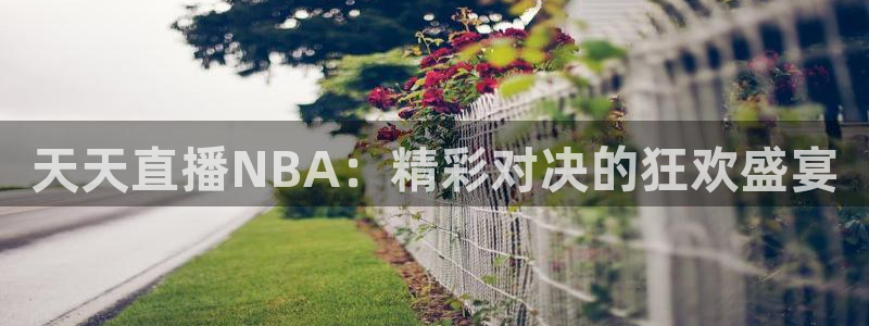 360直播足球直播