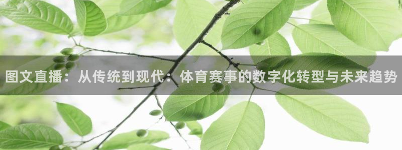360雨燕足球高清免费直播