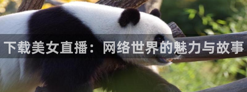360直播网足球直播网