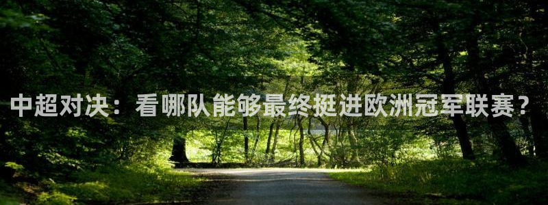 360体育直播无插件高清24：中超对决：看哪队能够最终挺进欧洲冠军联赛？