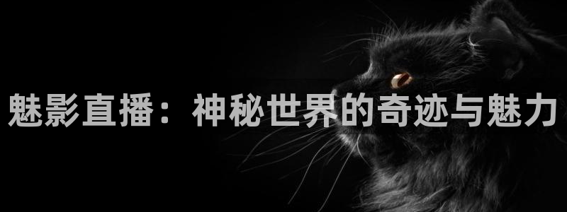 360直播网足球直播网雨燕：魅影直播：神秘世界的奇迹与魅力