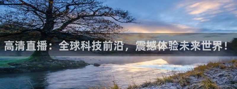 雨燕360体育直播在线观看：高清直播：全球科技前沿，震撼体验未来世界！