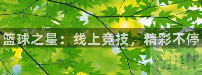360无插件体育直播手机版
