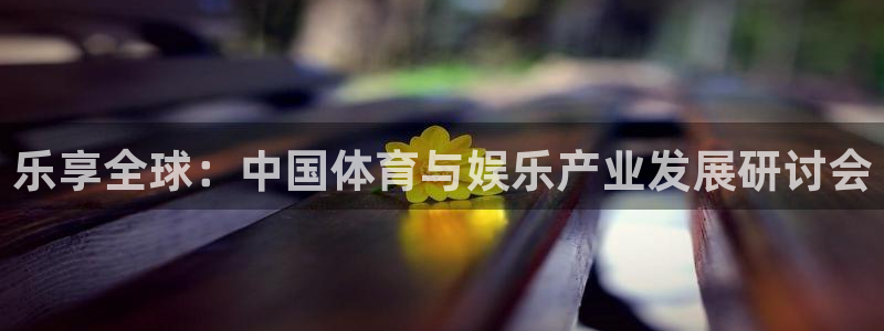 360足球比赛直播雨燕