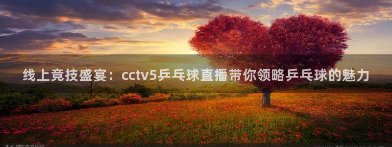 体育直播360：线上竞技盛宴：cctv5乒乓球直播带你领略乒乓球的魅力